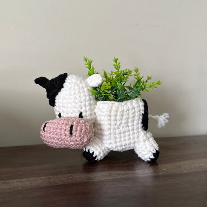 Handmade crochet cow planter with a green grassy plant.  It's  mostly white with one black ear and one big black spot on its back. The bottoms of the feet are black and it has a pink nose.  The planter is standing on a brown wood with gray background